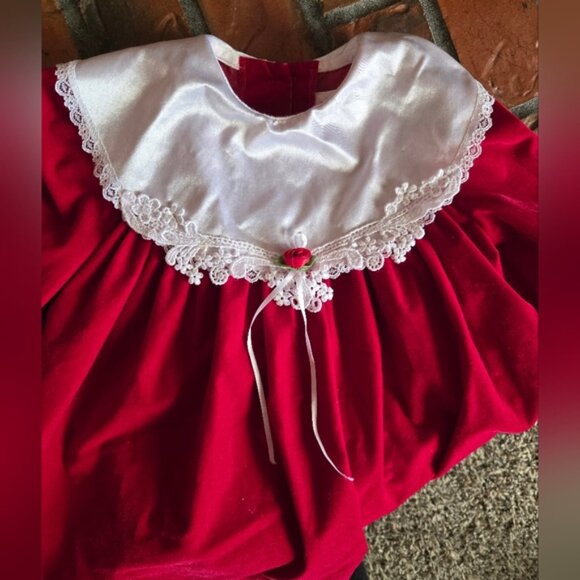 Vintage Allison Ann Velour Dress - Picture 5 of 7